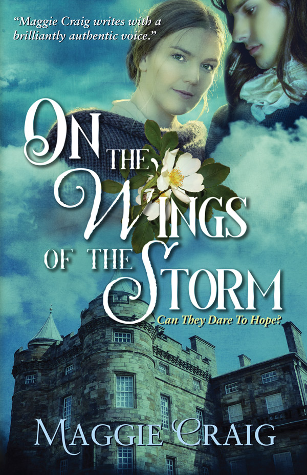 On the Wings of the Storm cover